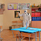 Дезинфекция  школы